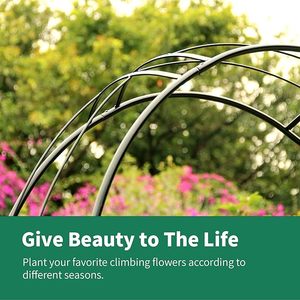 Arche circulaire <span class=keywords><strong>en</strong></span> <span class=keywords><strong>fer</strong></span> <span class=keywords><strong>forgé</strong></span> antique pour jardin de roses, décorations, clôture de sécurité facilement assemblable pour clôtures de ferme - Product Image 3