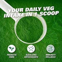Super Greens Poudre Spiruline et Chlorella Superfood Veggie Fruit Extrait Mélange d'antioxydants prébiotiques Aide au bien-être intestinal