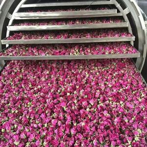 Máquina Liofilizadora Comercial de Alta Resistencia para Frutas y Verduras, Acero Inoxidable 304, Capacidad de 500-1000 kg/h, Garantía de 4 Años, en Oferta - Product Image 6