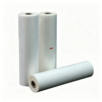 Papel de Transferencia Térmica PET Brillante DTF de EE. UU., Rollo de Película de Impresión de 17 Pulgadas, 30 cm, 33 cm, 42 cm, 60 cm para Textiles, Camisetas, Ropa Deportiva y Calcetines