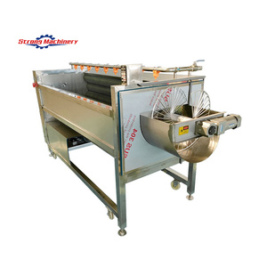 Pomme de terre brosse machine à laver brosse patate douce machine à laver fruits brosse machine à laver - Product Image 1