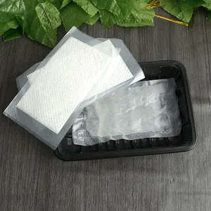 160mmX80mm Pad Food Grade Absorbent Paper for Food