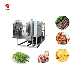 Fruit Vegetable Meat Vacuum Freeze Drying Machine Food Freeze Dryer