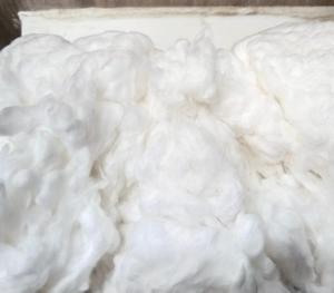 Best Seller Cotton Comber Noil, Lickerin grade A and B, Card Fly, Flat Strips made in Viet Nam - Product Image 2