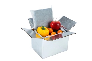 EcoBlanket biodégradable et compostable EcoPouch pour les fruits de mer et la chaîne du froid Emballage isolé pochette thermique compostable - Product Image 3