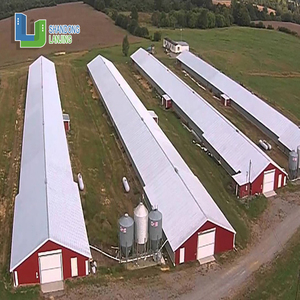 Fidji Îles <span class=keywords><strong>Salomon</strong></span> Structure en acier préfabriqué personnalisé populaire ferme avicole poulailler - Product Image 5