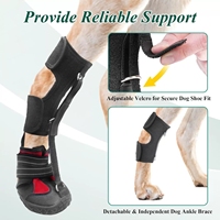 Réglable Canine Cruciate Ligament Joint Protection Wrap Néoprène Fiber Blessure Chirurgie Chaussure Anti-Chute Résistant À L'usure Caractéristiques