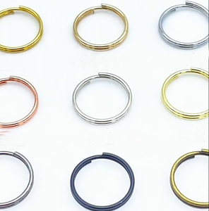 Anneaux <span class=keywords><strong>porte</strong></span>-clés, chaînes, anneaux de jonction, mousquetons métalliques premium 25 mm, accessoires pour <span class=keywords><strong>porte</strong></span>-clés, artisanat artistique et de collection, bricolage - Product Image 2