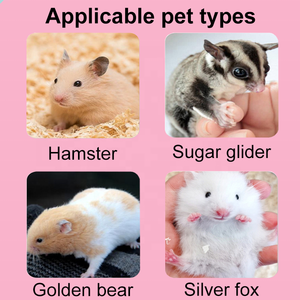 Gabbia per cavia trasparente portatile all'aperto piccola gabbia per animali di nuova concezione - Product Image 2