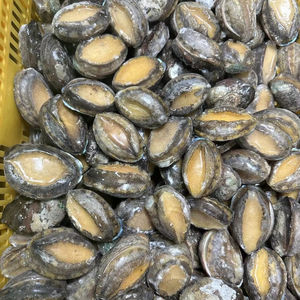 Fruits de mer Offre Spéciale de bonne qualité, ormeau surgelé à blanchir, ormeau surgelé - Product Image 1