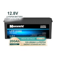 Maxworldpwoer 2560Wh LiFePO4 RV paket baterai 12V/24V 200Ah/100Ah dengan BMS 3000 Cycle garansi 2-5 tahun