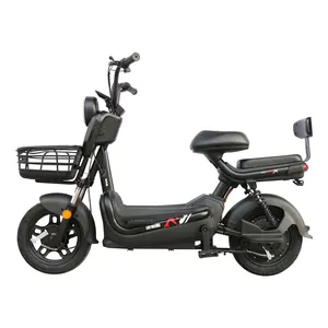 Hot Sale 500W 800W 1000W Electric Bicycle City Electric Bike Custom E Bike