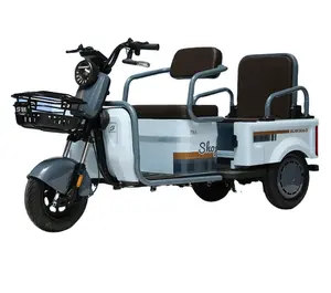 3-Rad-Elektro-Scooter-Fadrad Dreiräder für Erwachsene einfach zu bedienen hochwertiges schnell- und stabil-Laden
