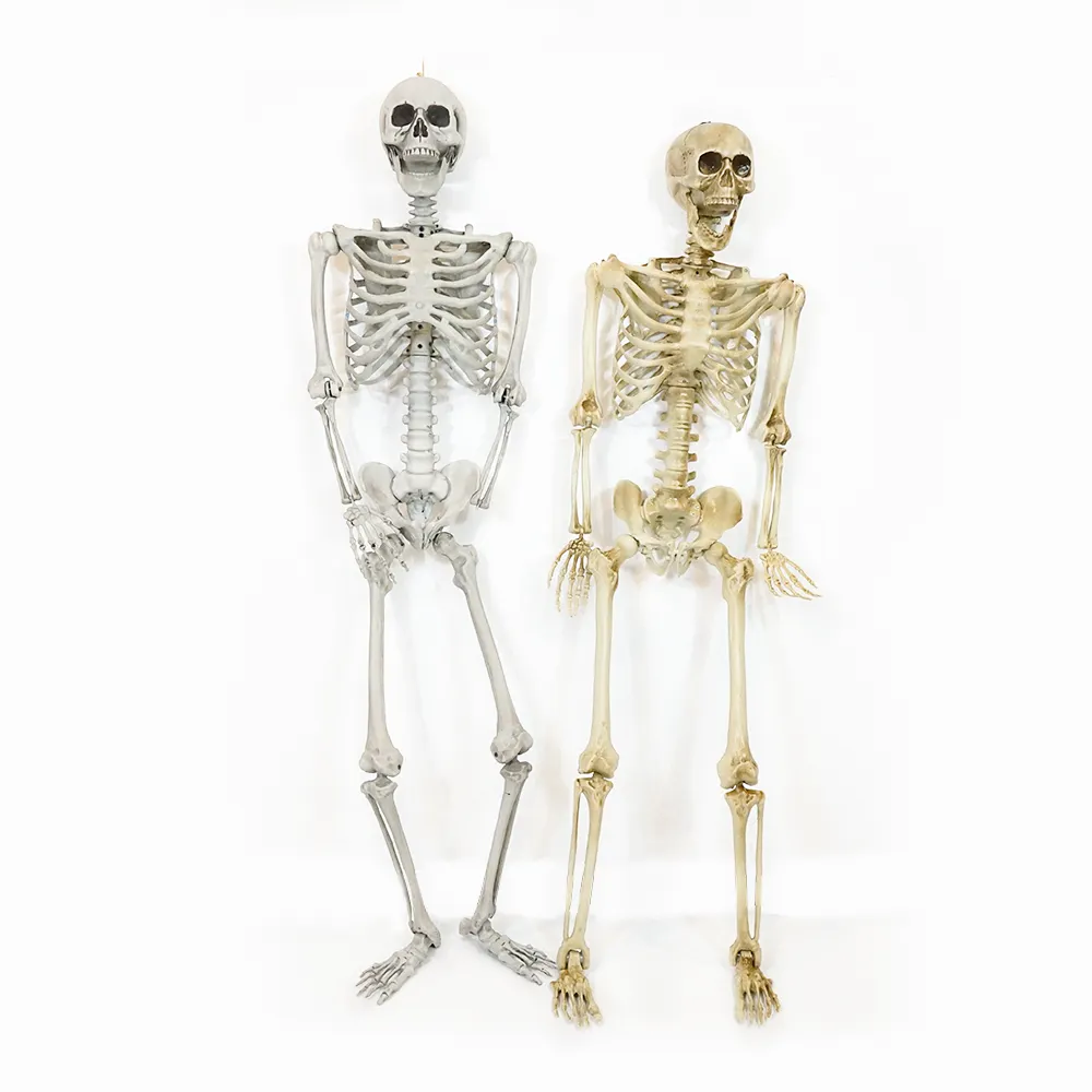 Taille de la vie humaine 60 pouces Halloween décorations accessoires grands joints mobiles animés 5.4Ft Halloween squelette à vendre