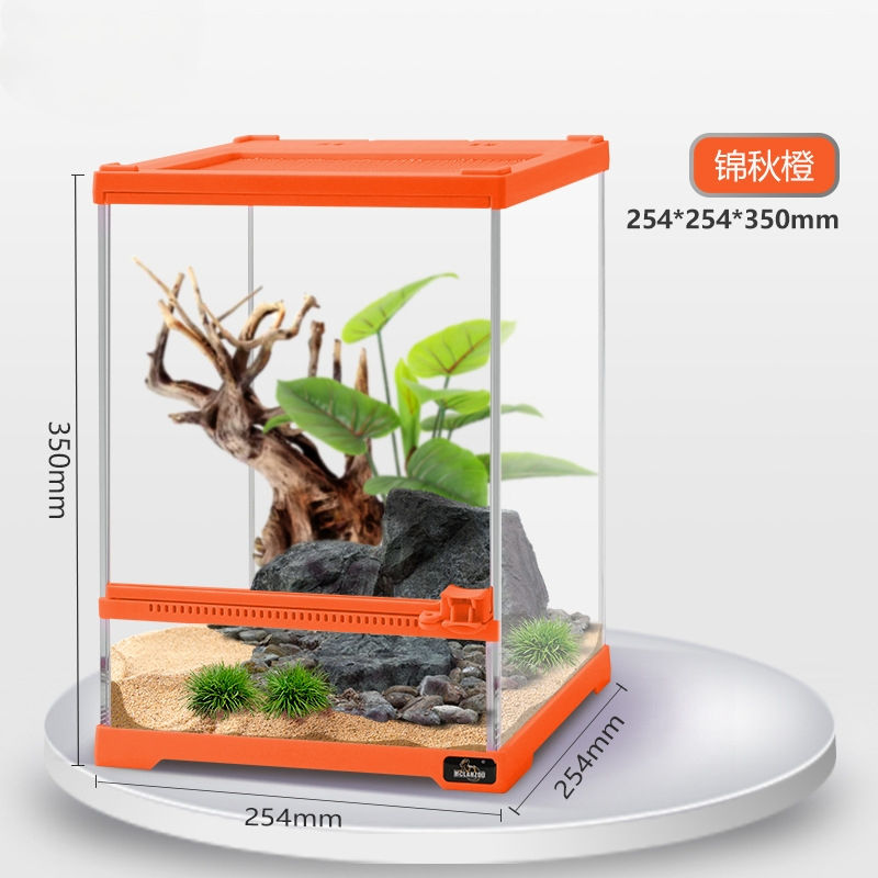 [XTD2] Jingqiu Orange 25.4*25.4*35