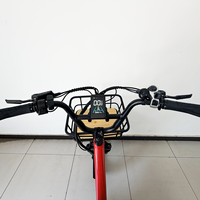 Nouveau Tricycle Électrique Cargo Édition Premium Double Moteur avec Assistance au Pédalage, Moteur Arrière 250W 48V, Batterie Lithium 15Ah, Frein à Disque