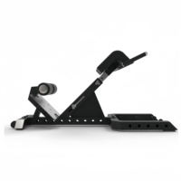 SF nouveau Design réglable dos Extension Machine professionnel musculation pliable 45 degrés chaise romaine dos formateur