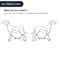 Attelle ACL pour chien Patte arrière Attelles latérales en aluminium à deux angles pour soutenir les chiens avec stabilité, blessure CCL Attelle de genou pour chien à deux angles