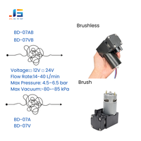 Pompe à piston miniature silencieuse 12V 24V 40L/min -85kpa sans huile Pompe CC haute pression pour systèmes de vide et échantillonnage d'air