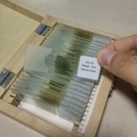 24 Types Geology Microscope Prepared Slides Rock Microscope Slides Mineral Thin Section Slides