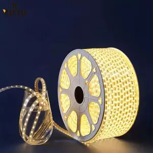 2023 Hot Sale 2835 SMD Decorative led rgb light strip lighting 120 LED 5 10 Meters 24V 12V LED Strips for room