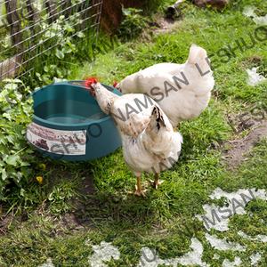 Tigela para animais de estimação, tigela elétrica quente para cachorros e gatos - Product Image 6