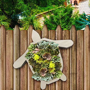 <span class=keywords><strong>Vasi</strong></span> <span class=keywords><strong>per</strong></span> <span class=keywords><strong>Piante</strong></span> <span class=keywords><strong>Grasse</strong></span> a Forma di Tartaruga in Legno, Mini <span class=keywords><strong>Vasi</strong></span> <span class=keywords><strong>per</strong></span> Succulente e Bonsai, Vendita all'Ingrosso - Product Image 2