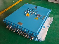 Boîte de distribution anti-explosion en acier inoxydable LD-BXD Ex Db IIB T6 IP66 AC 380V 160A pour l'éclairage et le contrôle de l'alimentation en énergie du secteur pétrolier et gazier