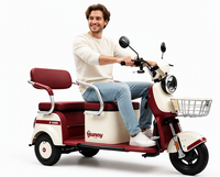 Vélo Électrique Urbain MAX 60V 1000W avec Moteur Brushless, Cadre en Acier Carbone, Frein à Disque, Roues 14'', Batterie Plomb-Acide, Vitesse Unique pour Adultes