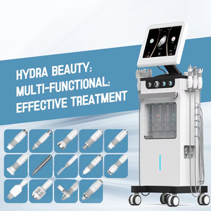Prix d'usine 2025 – Appareil de soin du visage hydro-oxygène 14-en-1 pour le nettoyage et le rajeunissement de la peau – Machine de beauté pour spa - Product Image 2