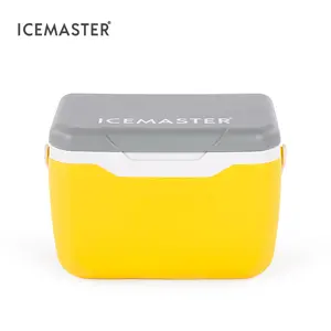 Caixa de gelo amarelo 5.5l, venda quente, caixa de gelo isolada, refrigerador pequeno para vacinas