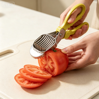 Multifunctionele keuken-snijmachine voor fruit en groenten