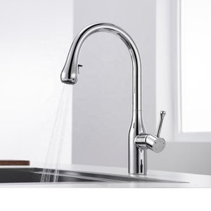 Sanitary Ware Single Hole Hot and Cold Water Pull Down Sprayer Kitchen Mixer Tap Brass Flexible Pull Out Kitchen AT9318-GDX Pull - Product Image 2