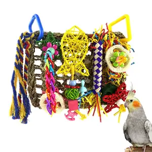 Colorful Parrot Chewing Toys for Birds