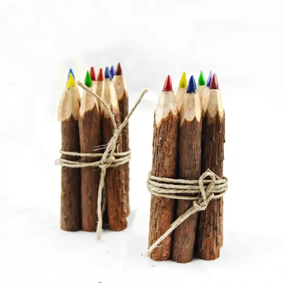참신 에코 나무 나무 나무 껍질 사용자 정의 로고 컬러 연필 대량 세트 나뭇 가지 소박한 특별 선물