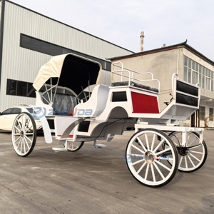 New Large Style ZHENDA Xuchang Sightseeing Horse Carriage for Wedding and Special Transportation 6 Persons Solid <b>Rubber</b> Tires - Product Image 5