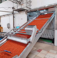 Commerciële wortel droogmachine, continue banddroogmachine voor fruit en groenten