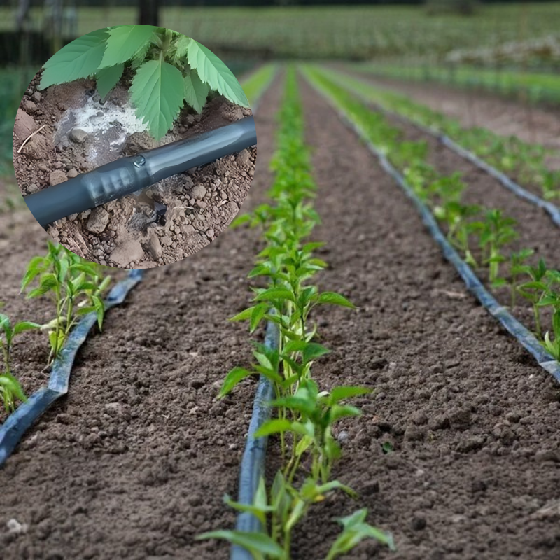 Agricultural Farm Water Saving and Efficient