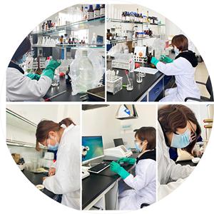 Dừa bột nước cấp thực phẩm dừa nước chiết xuất bột bởi benfeng - Product Image 4