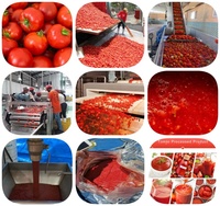 Industriële Automatische Tomatenpuree Fruitsaus Jam Verwerkingslijn Prijs Kruidenmachine Van De Fabrikant Voor Het Maken Van Kruiden Voor