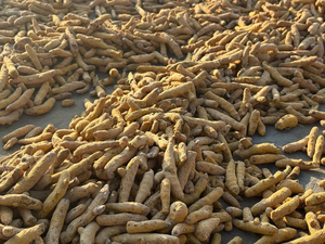 Cúrcuma de Grado Premium para Exportación, Dedos de Cúrcuma Secos Naturalmente, Haldi Crudo Entero para Suministro a Granel, Procesamiento de Alimentos, Condimento y Venta al por Mayor - Product Image 4