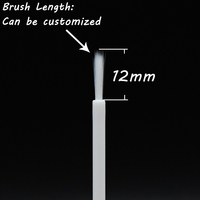 Mini récipient vide hermétique de 20ml en plastique PP pour vernis à ongles Surface de peinture
