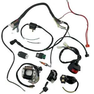 ATV Electric System Complete Wiring Harness Kit ignition coil CDI For 50CC 70CC 90CC 110CC Quad Bike