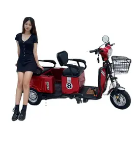 Il nuovo triciclo elettrico piccolo passeggero e carico a doppio uso di carico che trasporta a casa tricimoto electrica de carga