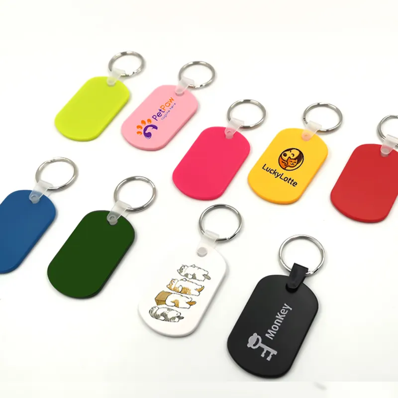Porte-clés en plastique vierge avec logo personnalisé pour hôtel, rétro, vintage, pour chambre, sans quantité minimale de commande, pour chien et chat