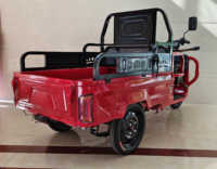 Tricycle utilitaire électrique Chongqing Cheetah Power ATV - 2026, 1000W, 3 roues