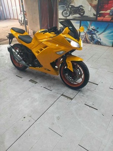Haleixiaogou 250cc Ninja d'occasion avec moteur puissant et vitesse de 80 km/h, fabriqué dans le Guangdong, haute puissance - Product Image 6
