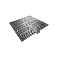 Plaque de refroidissement de batterie EV en aluminium 6061-T6 usinée sur mesure par CNC