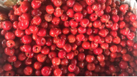 Machine électrique industrielle IQF pour l'élimination des noyaux de cerises, d'abricots, de dattes et de prunes, pour fruits surgelés