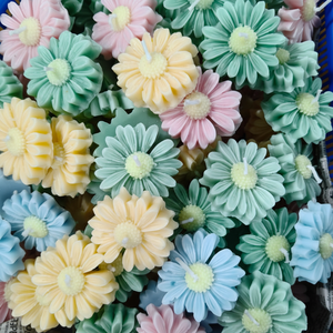 Margarita perfumada flor - Product Image 1